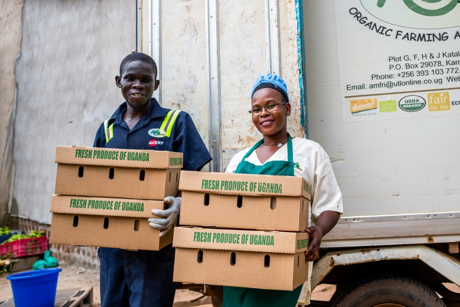 AMFRI Farms produce ready for export